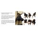 DSLR / SLR Camera Protective Case
