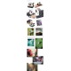 Carbon One Mini + FREE 2GB microSD Card