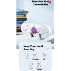 Reusable Dehumidifier