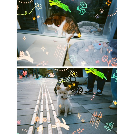 Reto Retocolor Cat'Cha Disposable Camera With Pre-Exposed Patterns [27 Exp]