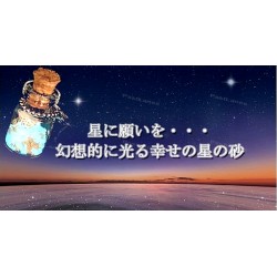Glowing Star Sand Seashell Wishing Bottle