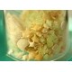 Glowing Star Sand Seashell Wishing Bottle
