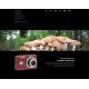 Kodak PixPro FZ55 Compact Digital Camera + FREE Pouch