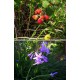 Kodak PixPro FZ55 Compact Digital Camera + FREE Pouch