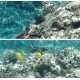 Kodak PixPro WPZ2 Waterproof Digital Camera