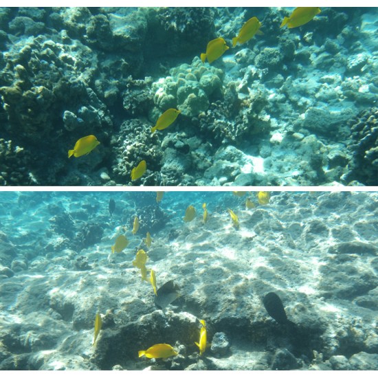 Kodak PixPro WPZ2 Waterproof Digital Camera