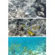 Kodak PixPro WPZ2 Waterproof Digital Camera