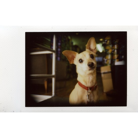 LC-A+ Instant Camera