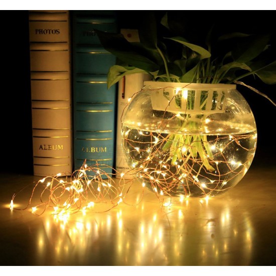 Mini LED Lights (Fairy Lights)