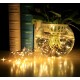 Mini LED Lights (Fairy Lights)