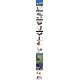 Universal Telephoto Zoom Lens For Mobile Phone