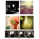 Universal Wide Angle + Macro Lens For Mobile Phone