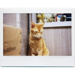 Lomo'Instant Wide Central Park + Lenses