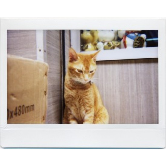 Lomo’Instant Wide White + Lenses