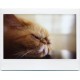 Lomo’Instant Wide White + Lenses