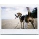 Lomo’Instant Wide White + Lenses