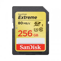 Sandisk Extreme SDHC Class 10 SD Card