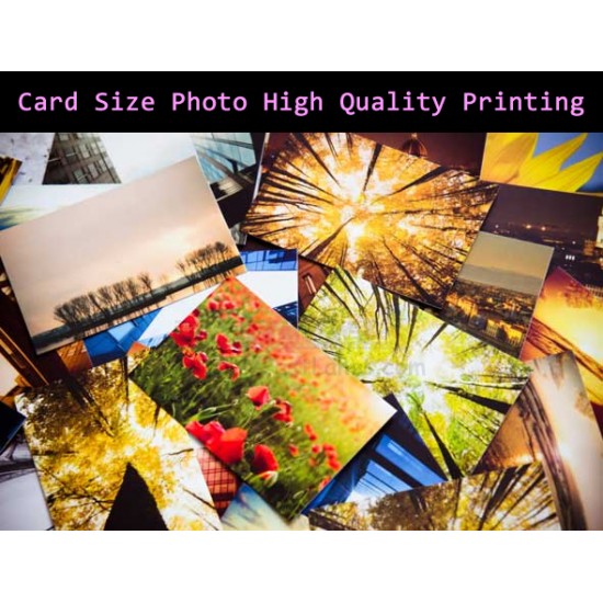 Card Size Photo High Quality Printing