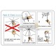 Auto Open and Close Umbrella / Wind Proof / Protect From Rain Storm and Sun