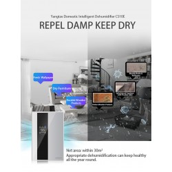 Yangzi Dehumidifier