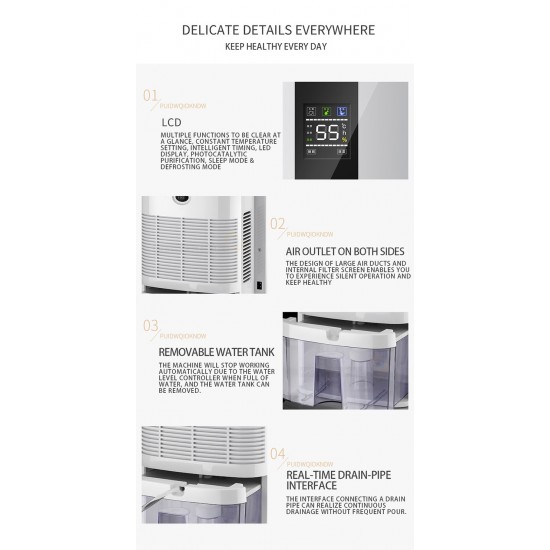 Yangzi Dehumidifier