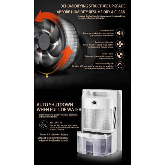 Yangzi Dehumidifier