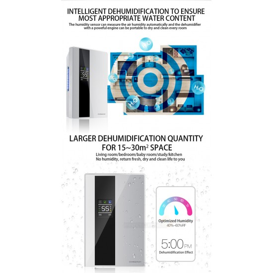 Yangzi Dehumidifier